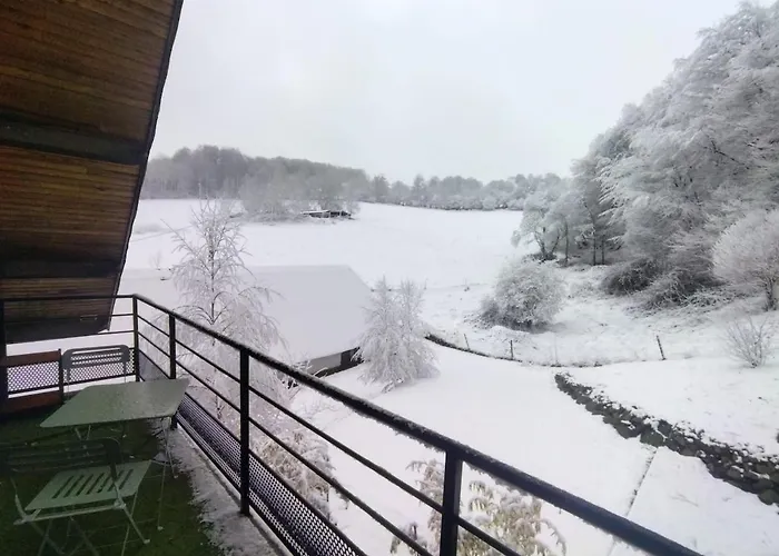 Agreable Appartement Lumineux