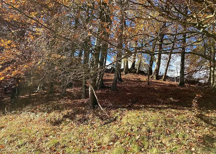 Agreable Appartement Lumineux Apartament